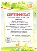 СЕРТИФИКАТ организатора международного игрового конкурса "Человек и природа" в 2019-2020 учебном году